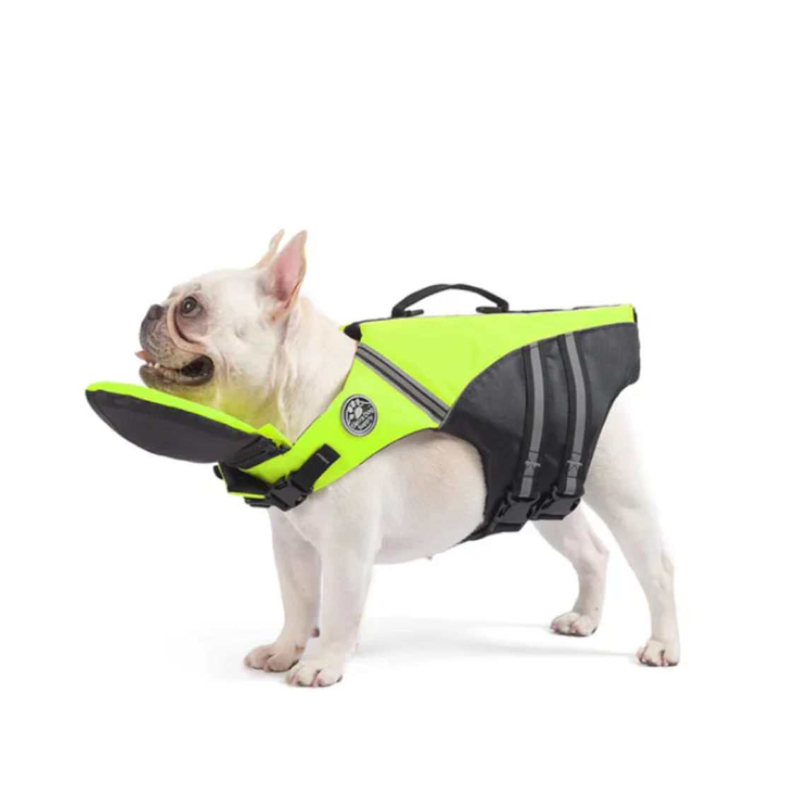 NuotaVest