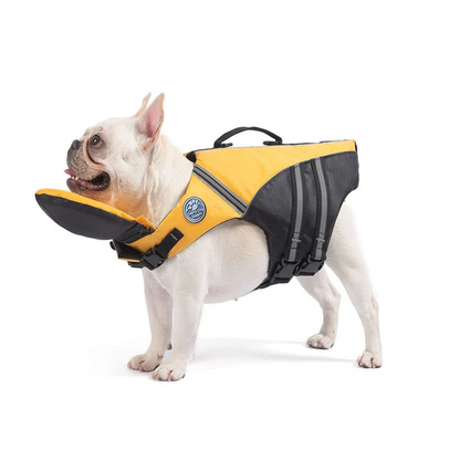 NuotaVest